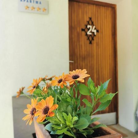 Apartma Rekar - A House, Where You Can Relax In The Embrace Of Nature เยเซนิตเซ ภายนอก รูปภาพ